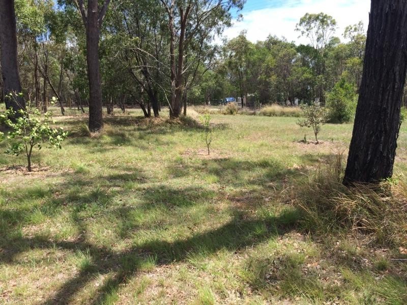 6 Fern Tree Drive, Coonarr QLD 4670