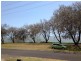 36 The Esplanade, Elliott Heads QLD 4670