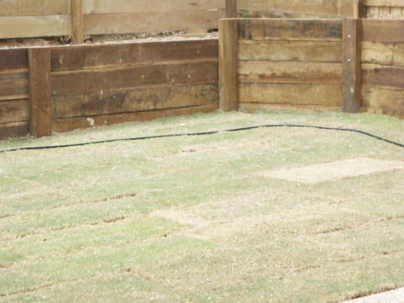 Cannon Hill QLD 4170