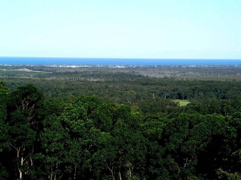 2/97A Burnett, Buderim QLD 4556