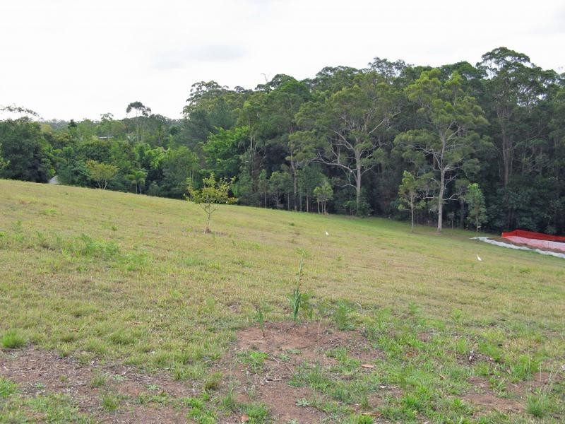 Diddillibah QLD 4559