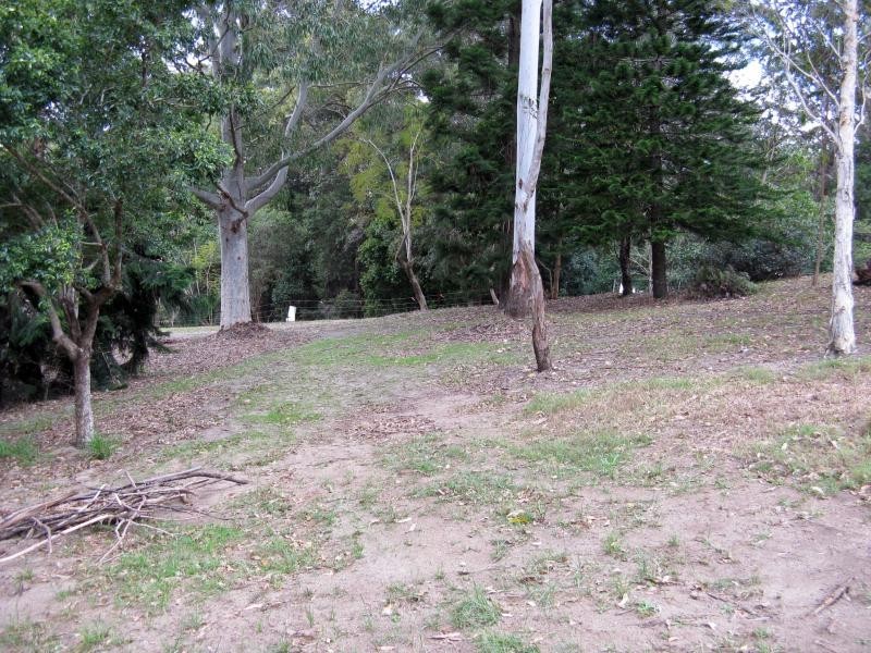 Diddillibah QLD 4559