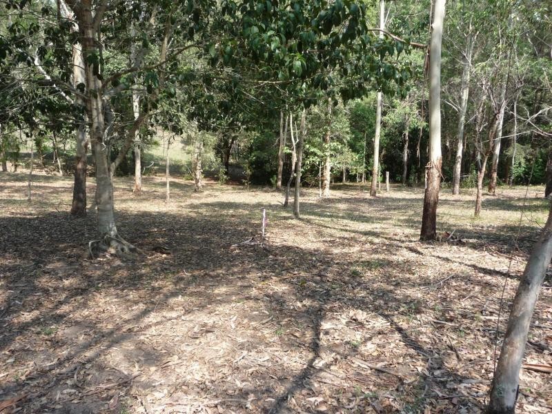 Diddillibah QLD 4559