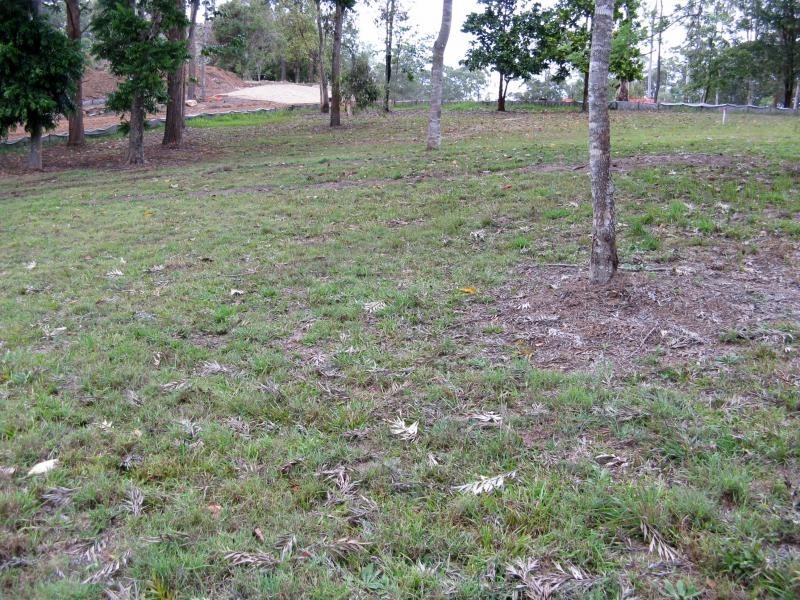 Diddillibah QLD 4559