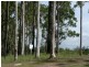 D’aguilar QLD 4514