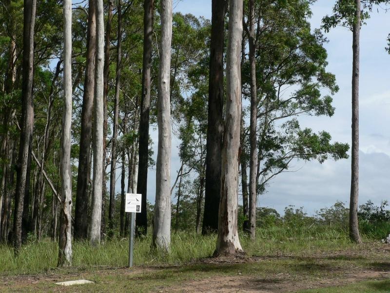 D’aguilar QLD 4514