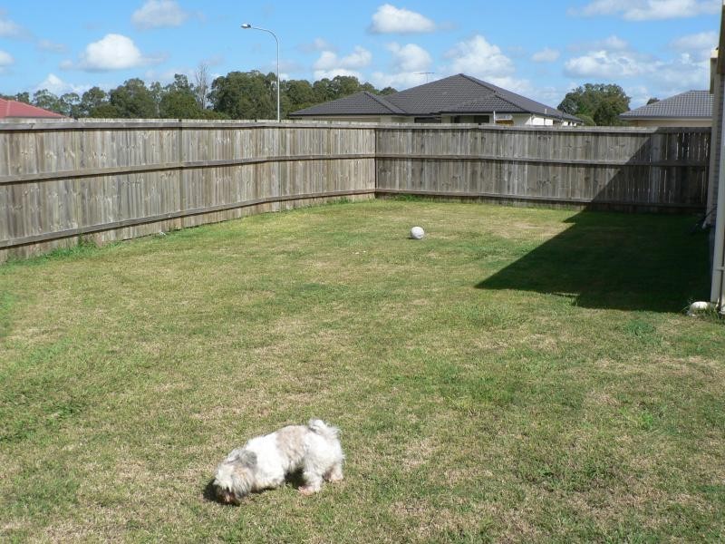 Caboolture QLD 4510