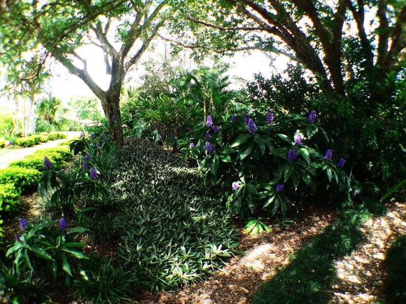 10 Wararba Cresent, Caboolture QLD 4510