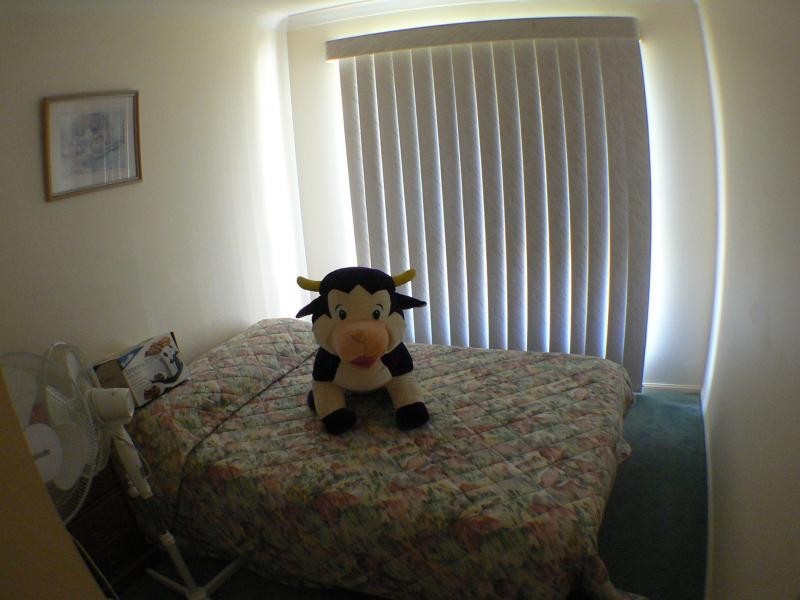 Caboolture QLD 4510