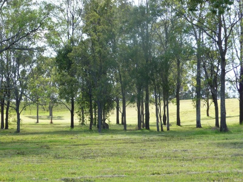 Lot 6 Springflats Drive, Moorina QLD 4506
