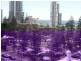 2706/90 Surf Parade, Broadbeach QLD 4218