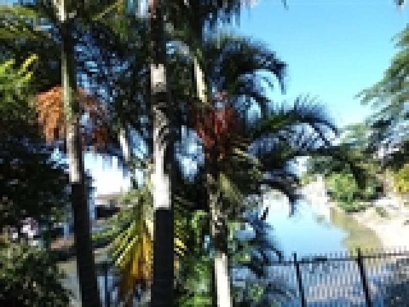 Broadbeach Waters QLD 4218