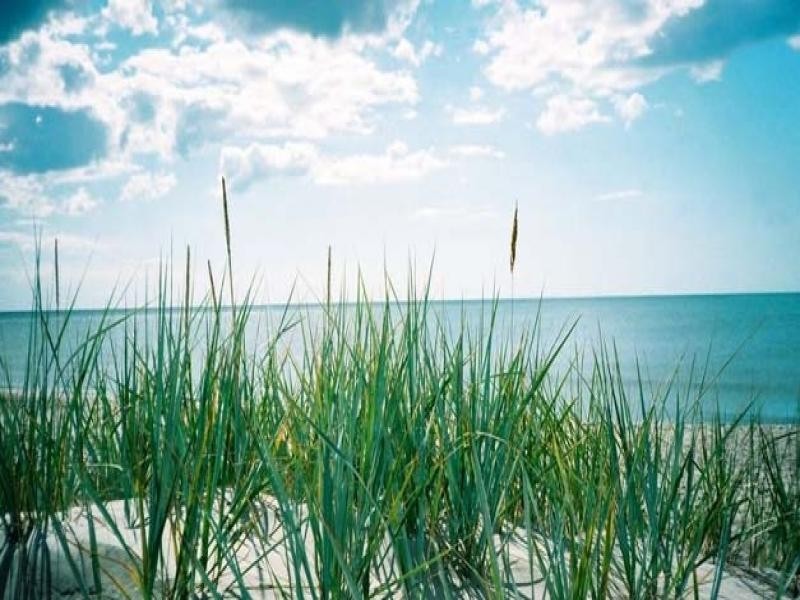 12 Banksia Avenue, Noosa Heads QLD 4567