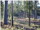 Forest Ridge Drive, Mudgeeraba QLD 4213