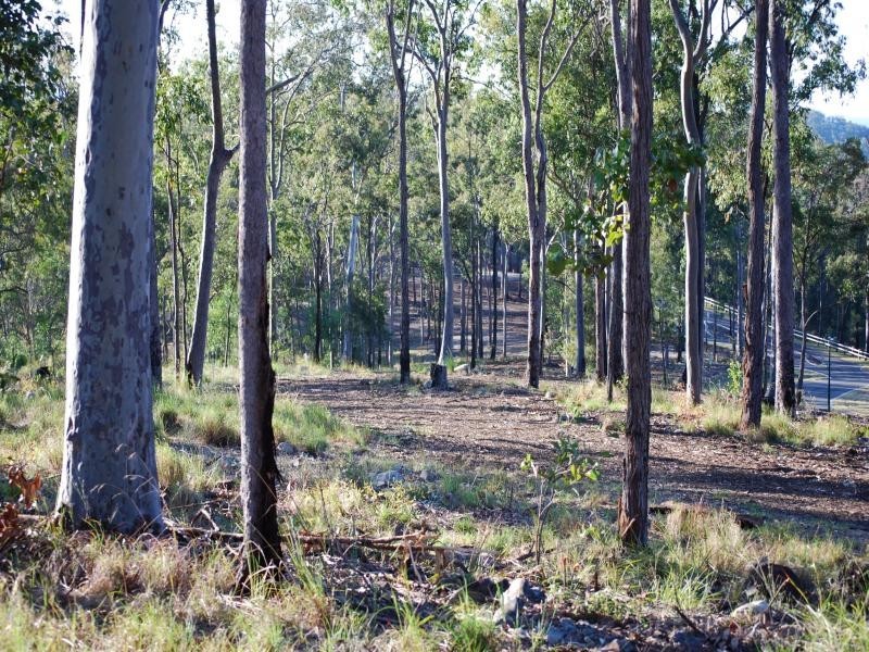 Forest Ridge Drive, Mudgeeraba QLD 4213