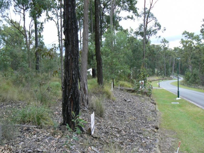 38 Forest Ridge Drive, Mudgeeraba QLD 4213