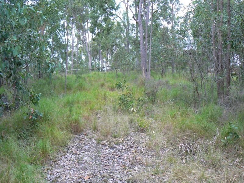 38 Forest Ridge Drive, Mudgeeraba QLD 4213