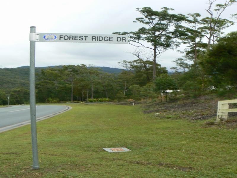 38 Forest Ridge Drive, Mudgeeraba QLD 4213