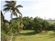 23 Fraser Street, Dunwich QLD 4183