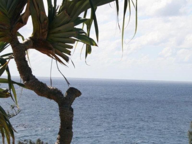 1/23 Mooloomba Road, Point Lookout QLD 4183