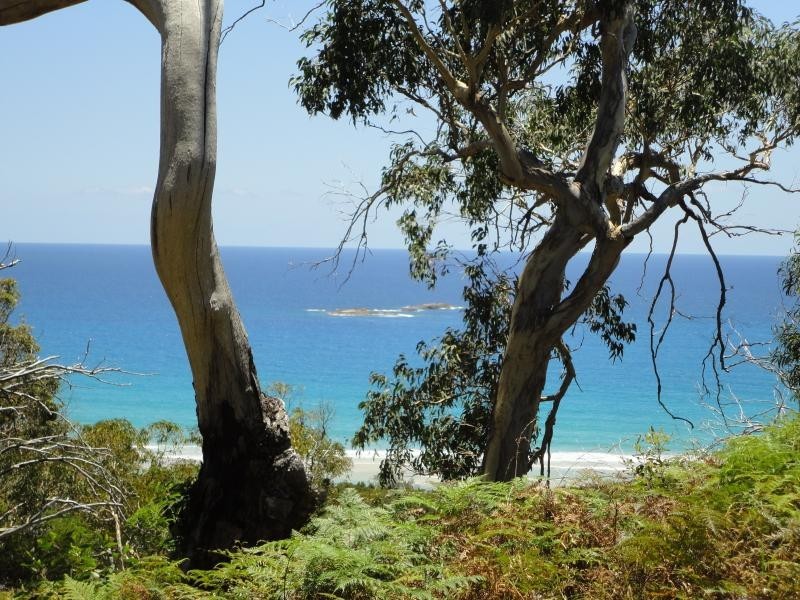 85 Tramican Street, Point Lookout QLD 4183