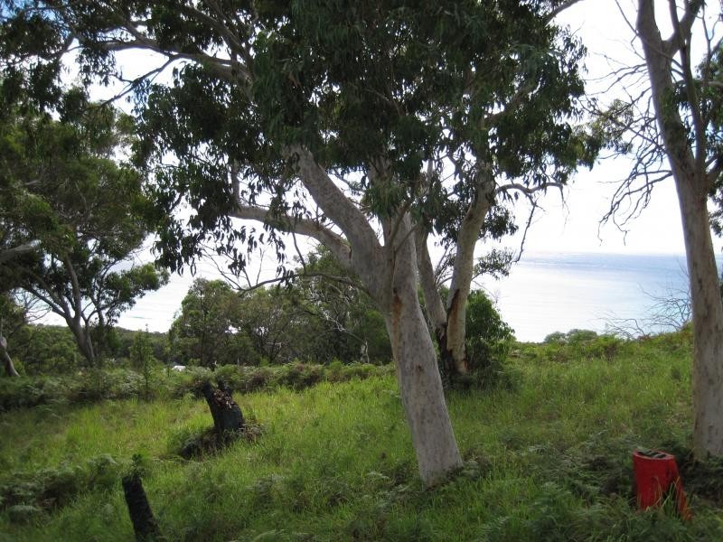 2 / 83  Tramican, Point Lookout QLD 4183