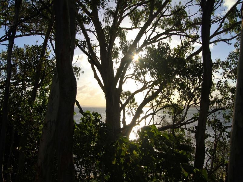 18 Oxley Parade, Dunwich QLD 4183