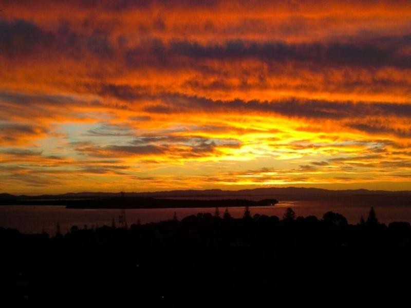 43 Rainbow Cres, Dunwich QLD 4183