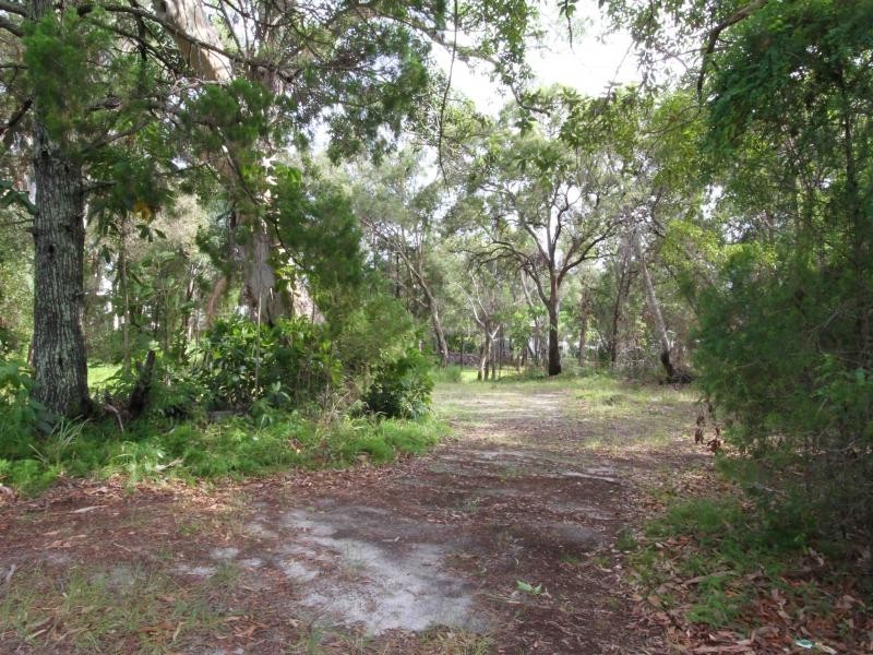 31 Llewellyn St, Amity Point QLD 4183