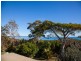 65 Rainbow Crescent, Dunwich QLD 4183