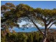 65 Rainbow Crescent, Dunwich QLD 4183