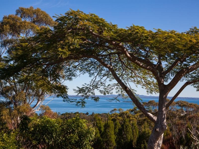 65 Rainbow Crescent, Dunwich QLD 4183