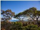 65 Rainbow Crescent, Dunwich QLD 4183