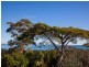 65 Rainbow Crescent, Dunwich QLD 4183