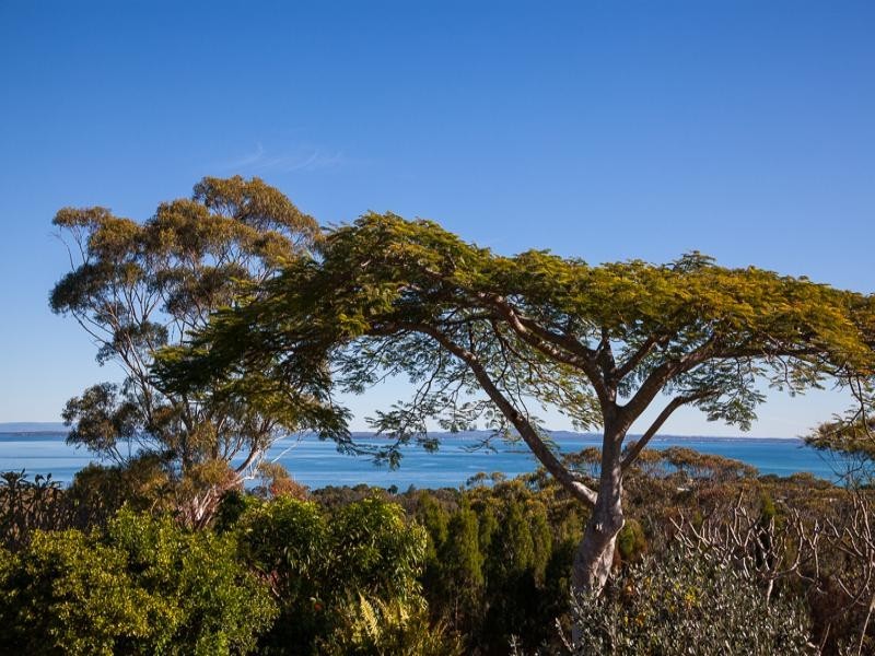 65 Rainbow Crescent, Dunwich QLD 4183