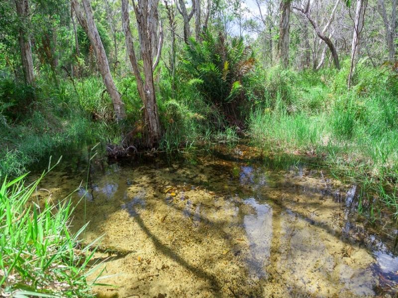 4 Gatumba St, Dunwich QLD 4183