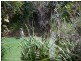 49 Dickson Way, Point Lookout QLD 4183