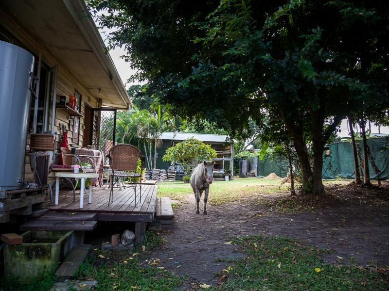 20 Bingle Rd, Dunwich QLD 4183