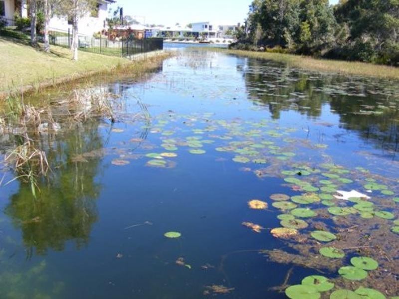 4 Rutherford Place, Pelican Waters QLD 4551