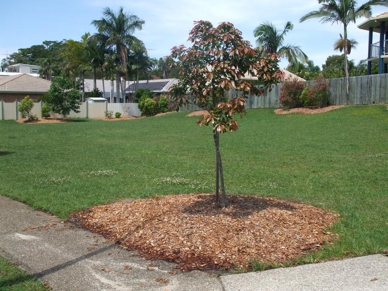 13 PRIOR ROAD, Moffat Beach QLD 4551