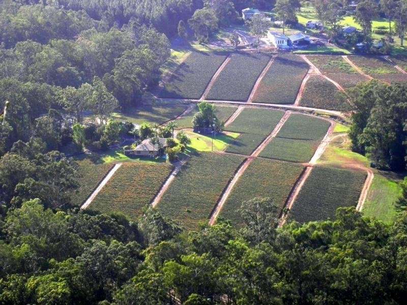 Glass House Mountains, Address available on request, Glass House Mountains QLD 4518