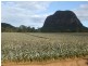 Glass House Mountains, Address available on request, Glass House Mountains QLD 4518