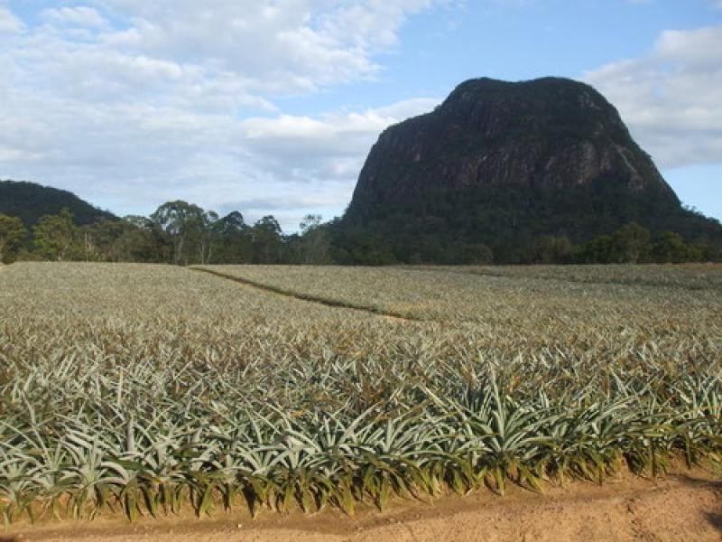 Glass House Mountains, Address available on request, Glass House Mountains QLD 4518