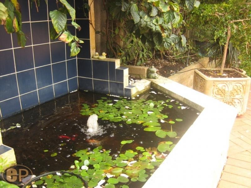 6A Yeovil Road, Bicton WA 6157