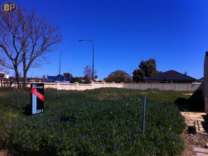 64 Roselea Boulevard, Stirling WA 6021