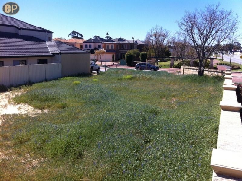 64 Roselea Boulevard, Stirling WA 6021