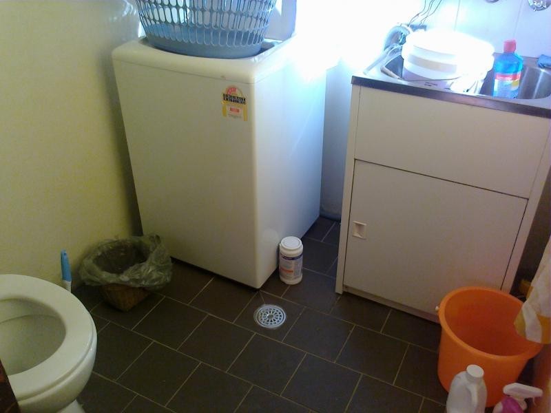 19 Mcgowan avenue, Marrickville NSW 2204