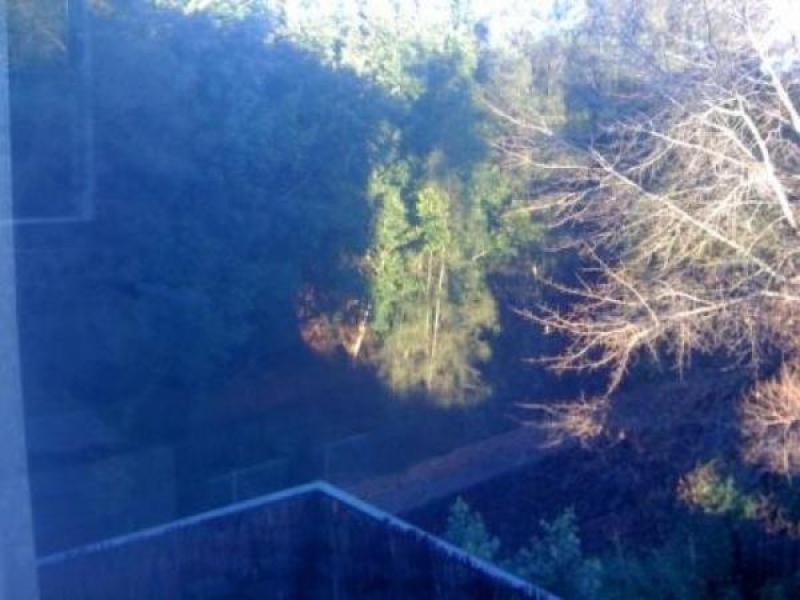 6/77 Hawthorn Parade, Haberfield NSW 2045