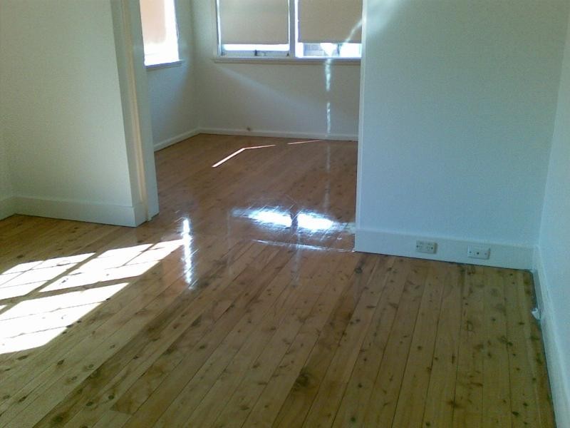 24 McCallum Street, Kingsgrove NSW 2208