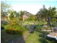 Bexley NSW 2207